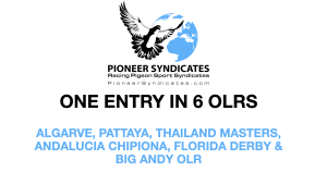 Pioneer Syndicates. 1 Entry To 6 One Loft Races 2026