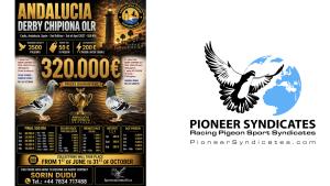 Andalucia Chipiona One Loft Race - 12 Bird Syndicate. 2026